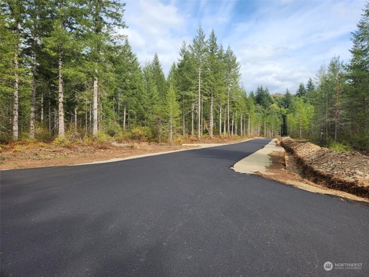 0 LOT 5 DIV 1 RAVEN LANE, ELMA, WA 98541 - Image 643af9cc66e120600188564cb79de205/1395046173
