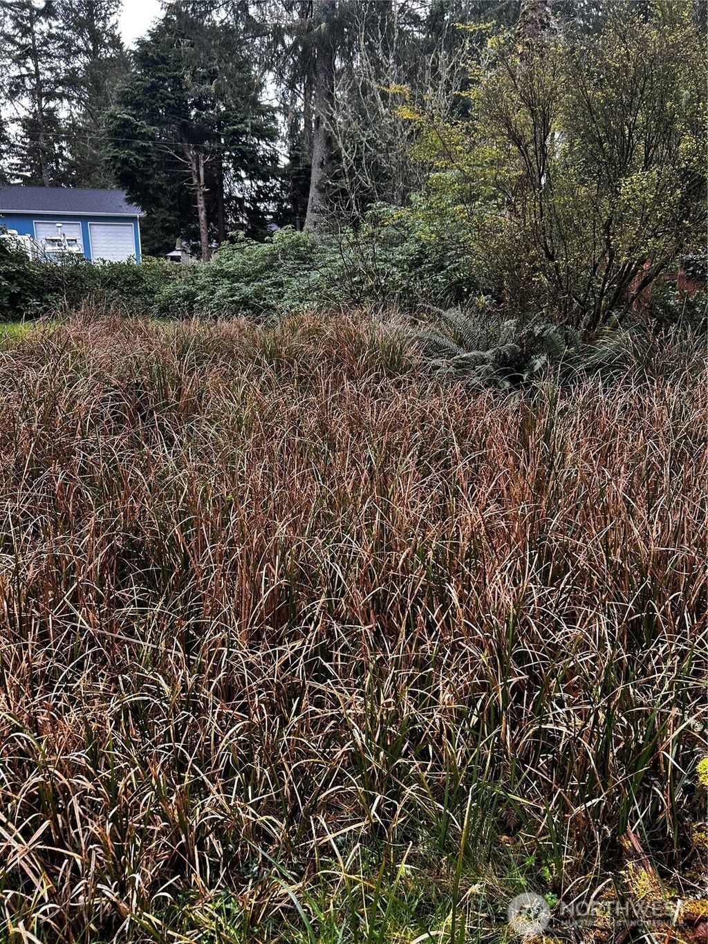 Photo of 379 Eridani Loop SE, Ocean Shores, WA 98569 (MLS # 2502636)