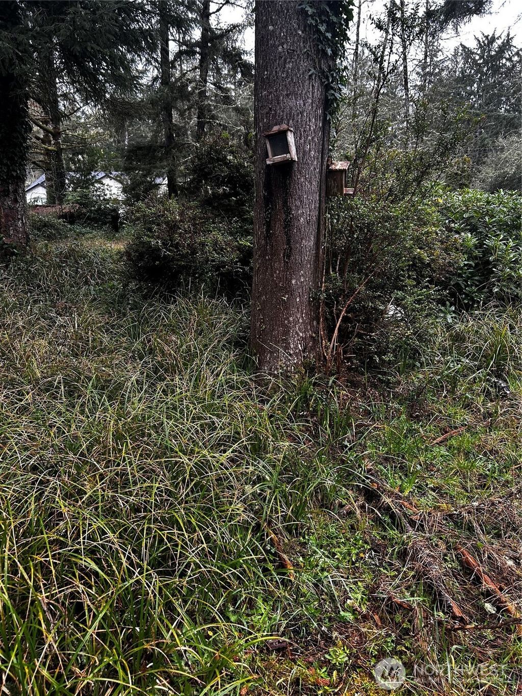 Photo of 379 Eridani Loop SE, Ocean Shores, WA 98569 (MLS # 2502636)