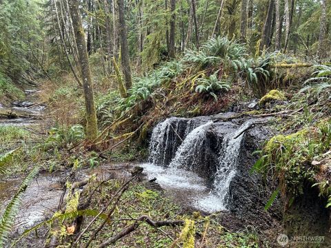 155 Ocean Beach Road Hoquiam WA 98550