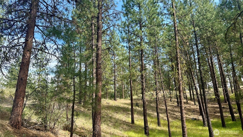 98 Larkspur Drive