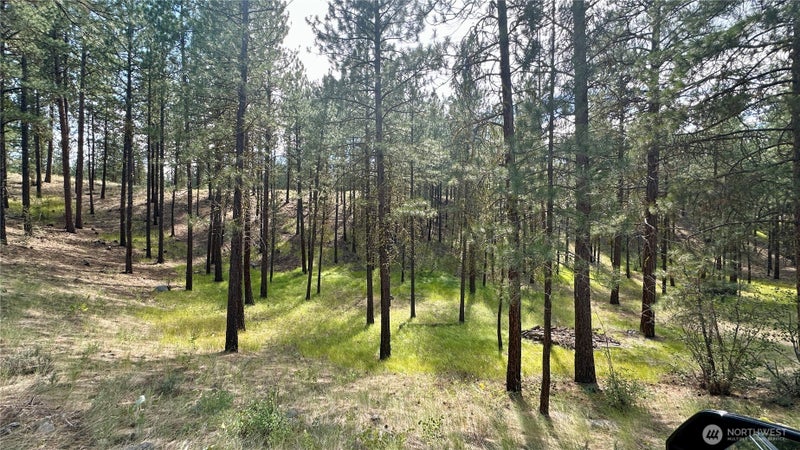 98 Larkspur Drive