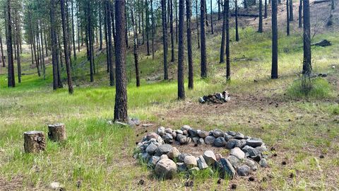98 Larkspur Drive Winthrop WA 98862