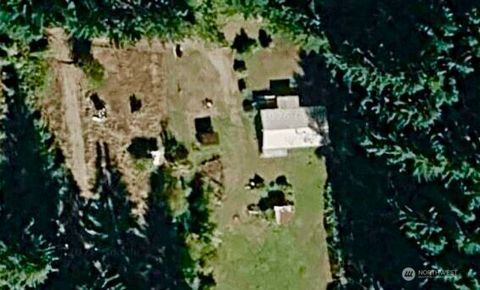Photo of 117 Morris Road, Randle, WA 98377 (MLS # 2490084)