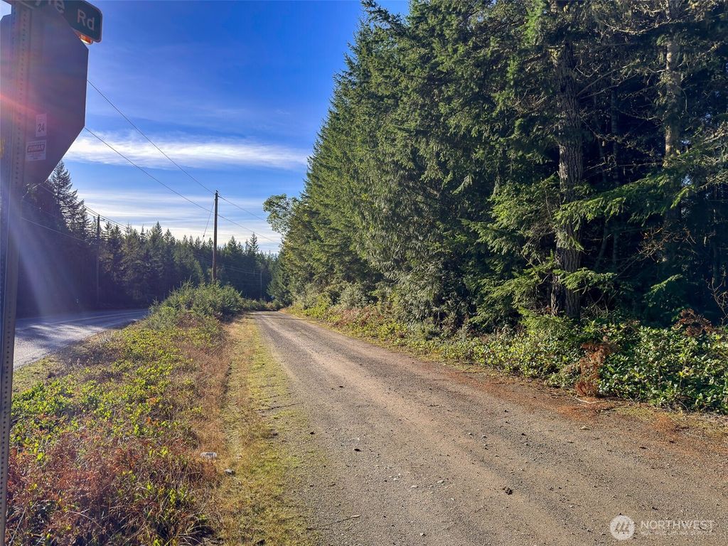 Photo of 999 Old Coyle Road, Quilcene, WA 98376 (MLS # 2461375)