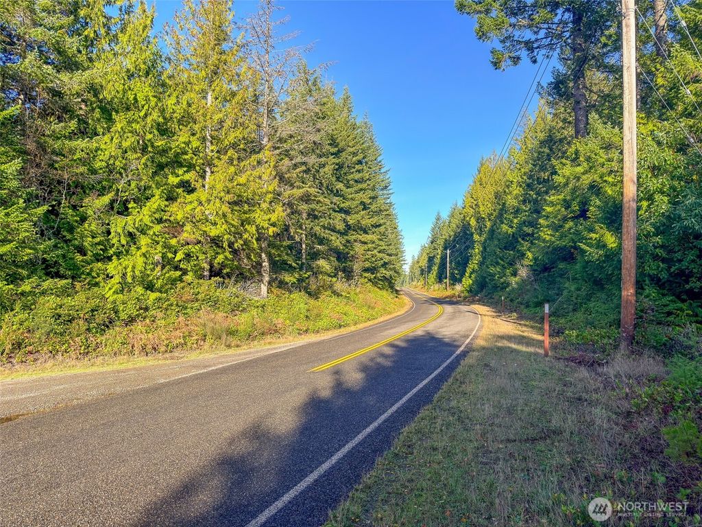 Photo of 999 Old Coyle Road, Quilcene, WA 98376 (MLS # 2461375)