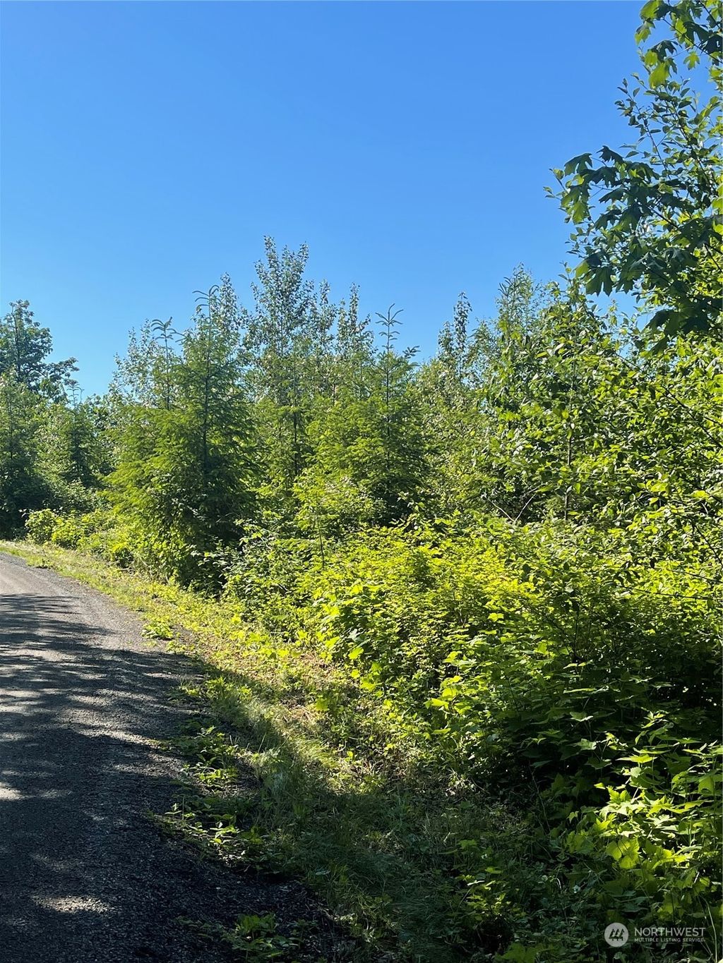 Photo of 3 xxxx 91st Way, Carnation, WA 98014 (MLS # 2255692)