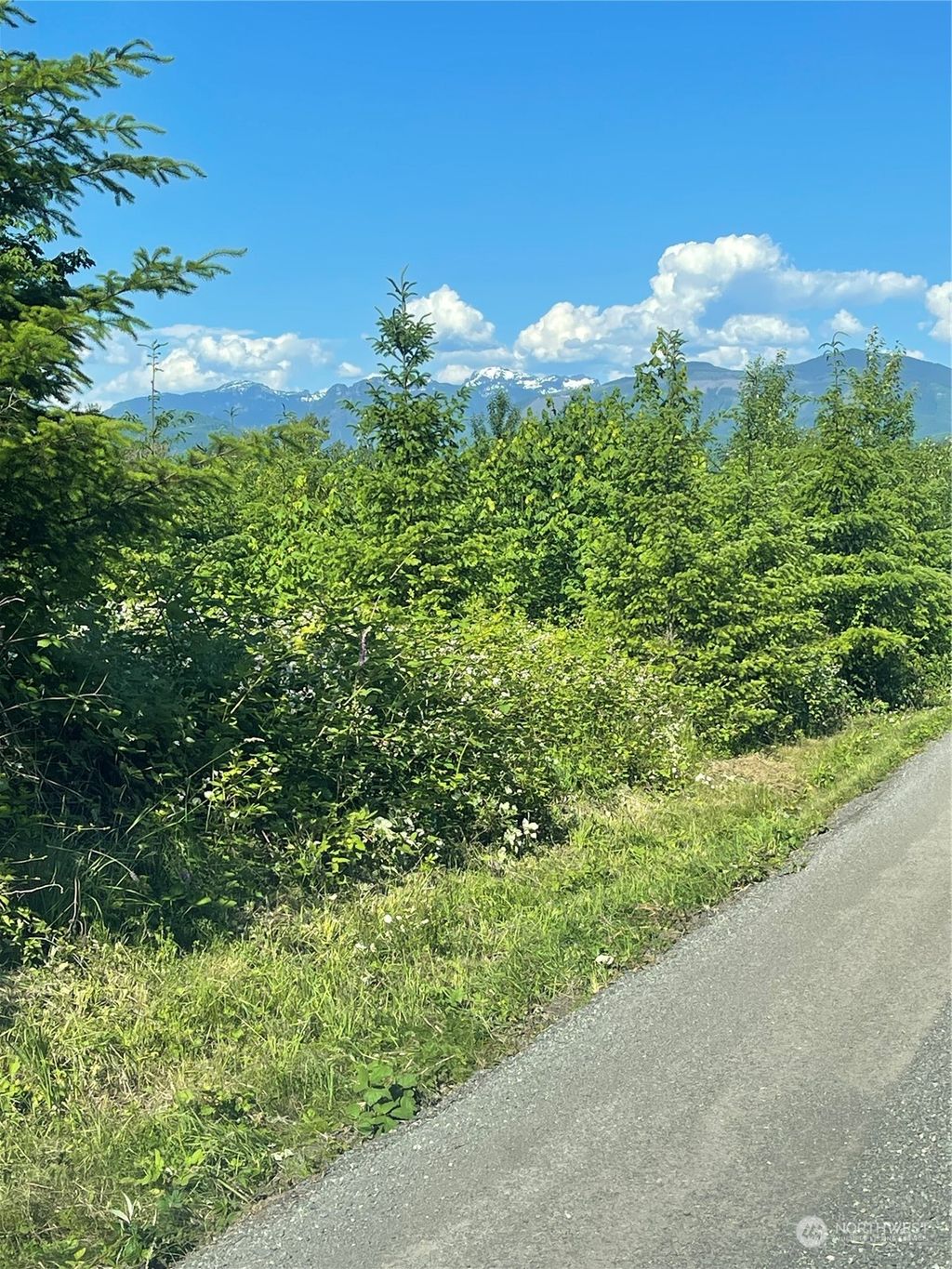 Photo of 3 xxxx 91st Way, Carnation, WA 98014 (MLS # 2255692)