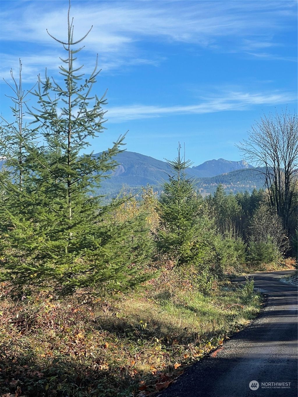 Photo of 3 xxxx 91st Way, Carnation, WA 98014 (MLS # 2255692)