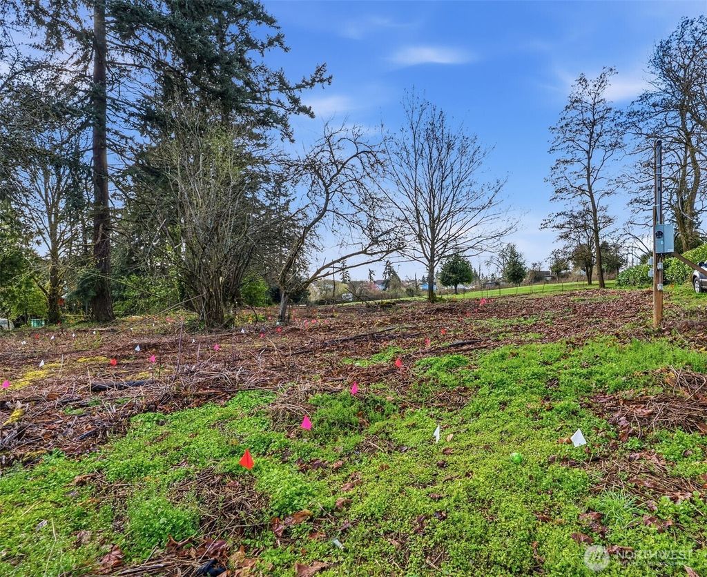 Photo of 1410 E 44th Street, Tacoma, WA 98404 (MLS # 2499060)