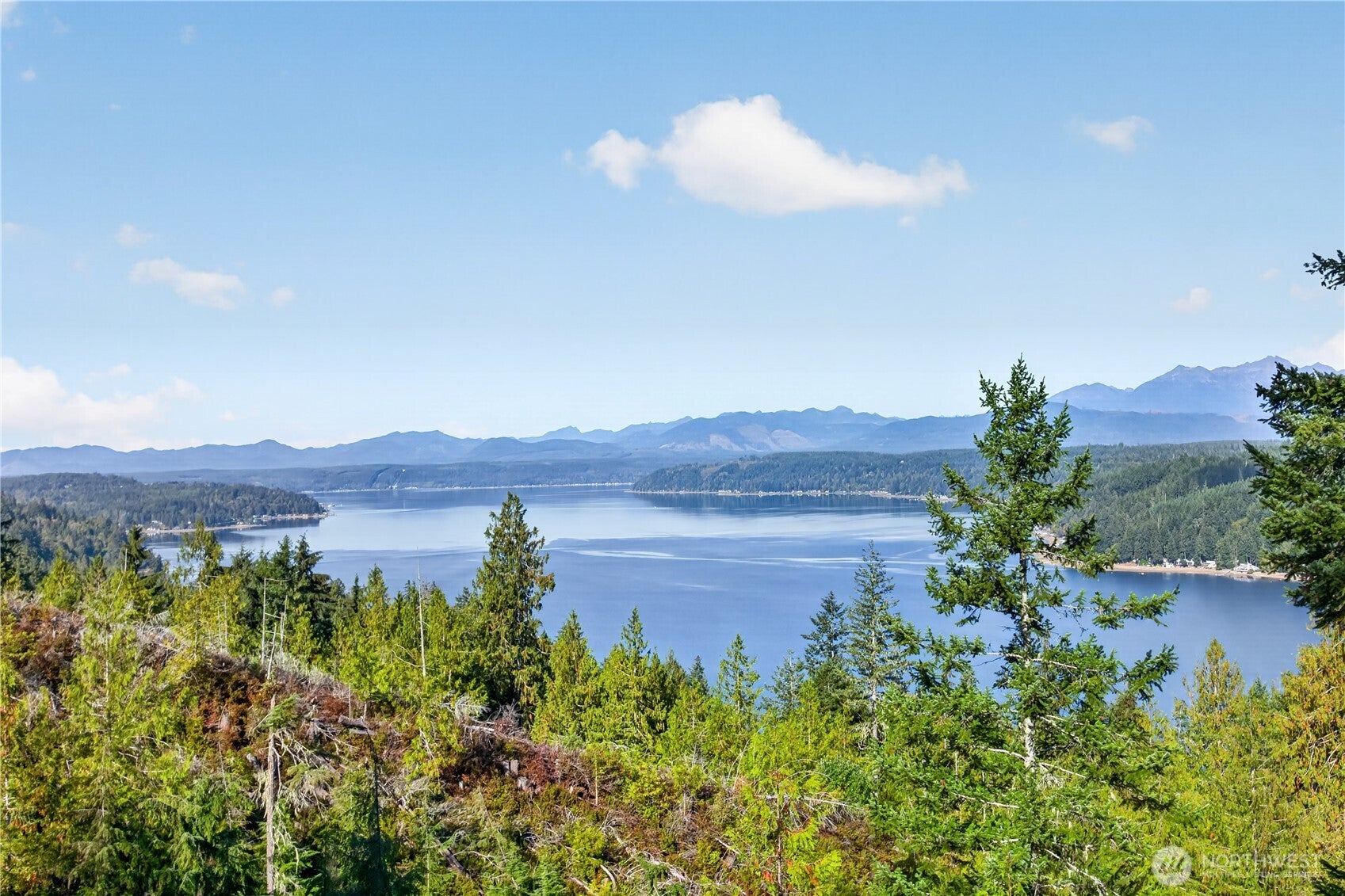 1420 Timber Tides Drive