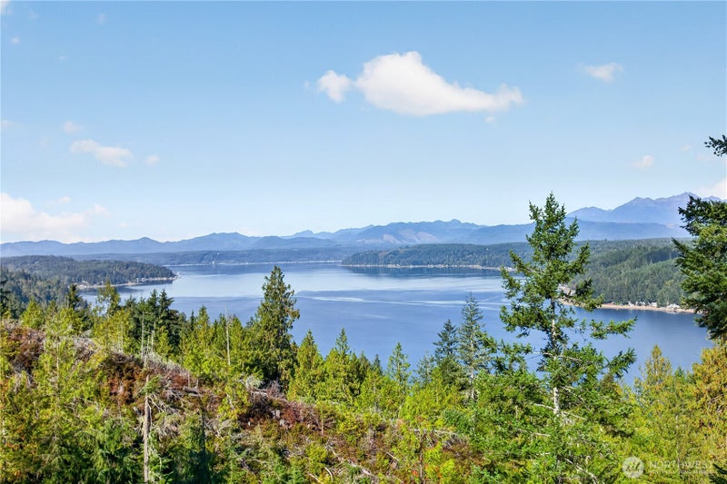 1420 Timber Tides Drive