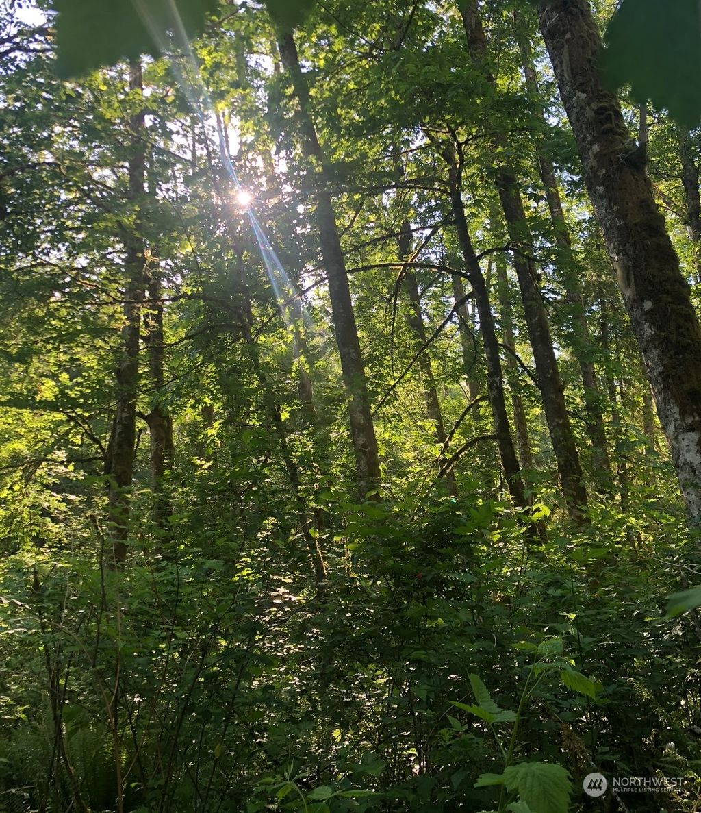 Photo of 0 50th Avenue S, Auburn, WA 98001 (MLS # 2206333)