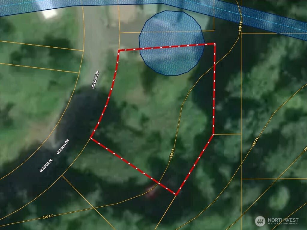 Photo of 177 Olequa Drive, Vader, WA 98593 (MLS # 2495252)