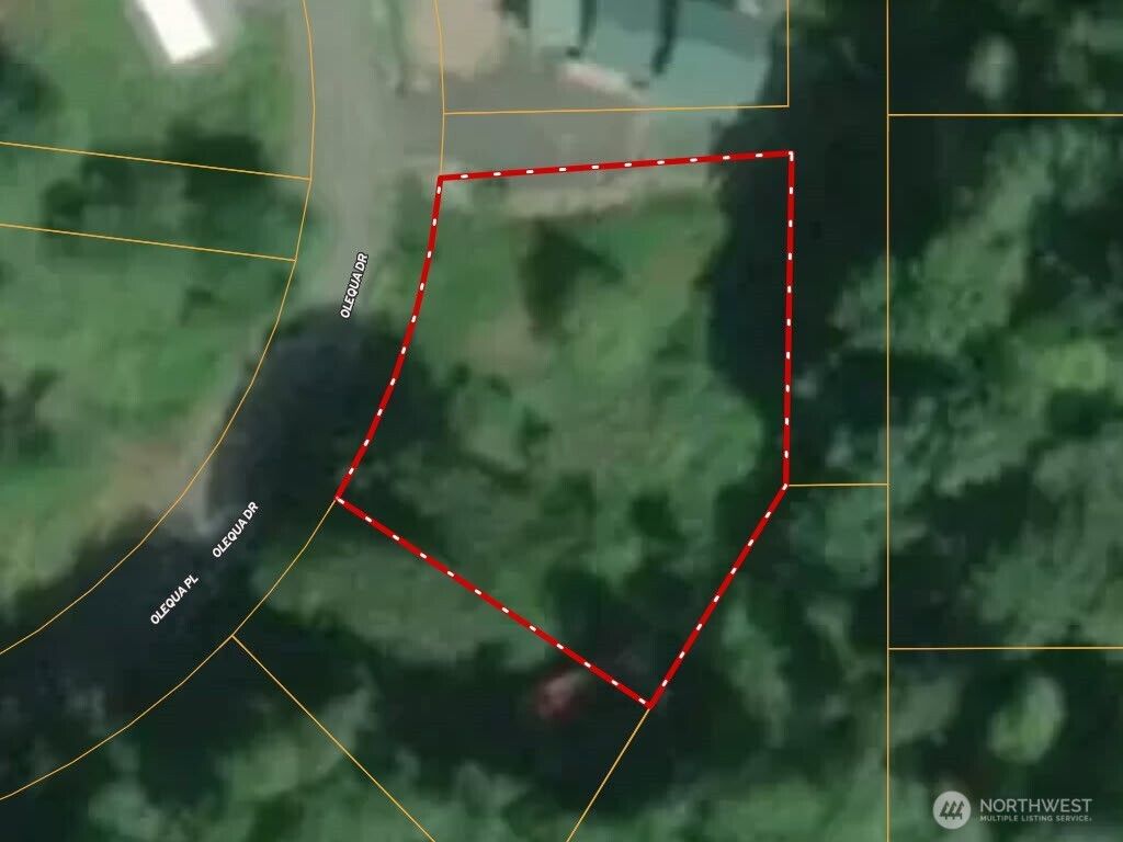 Photo of 177 Olequa Drive, Vader, WA 98593 (MLS # 2495252)