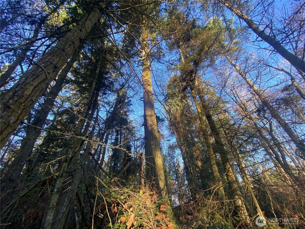 Photo of 999 White Street, Port Hadlock, WA 98339 (MLS # 2466540)