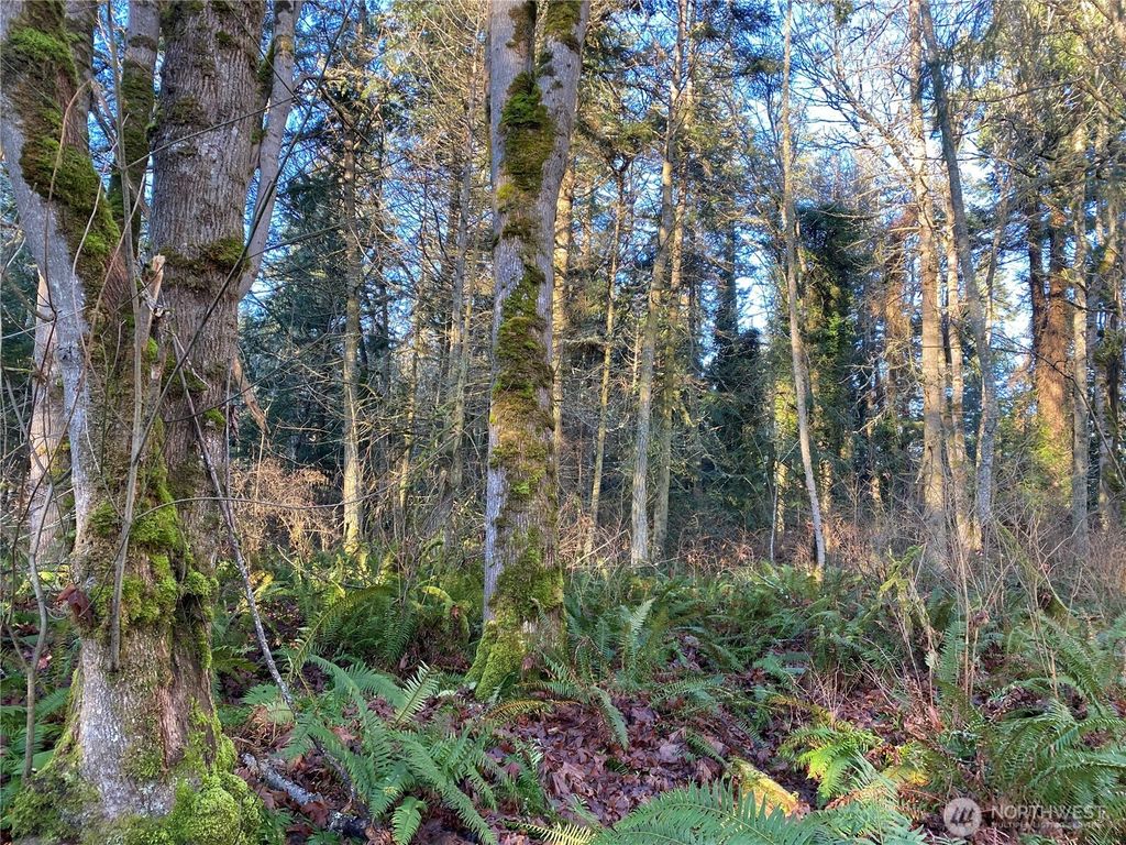 Photo of 999 White Street, Port Hadlock, WA 98339 (MLS # 2466540)