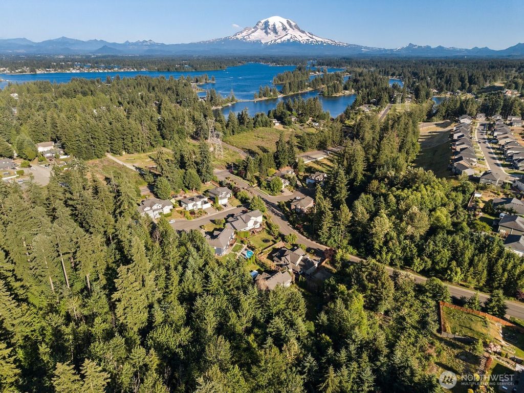 Photo of 2412 173rd Avenue Ct E, Lake Tapps, WA 98391 (MLS # 2538134)