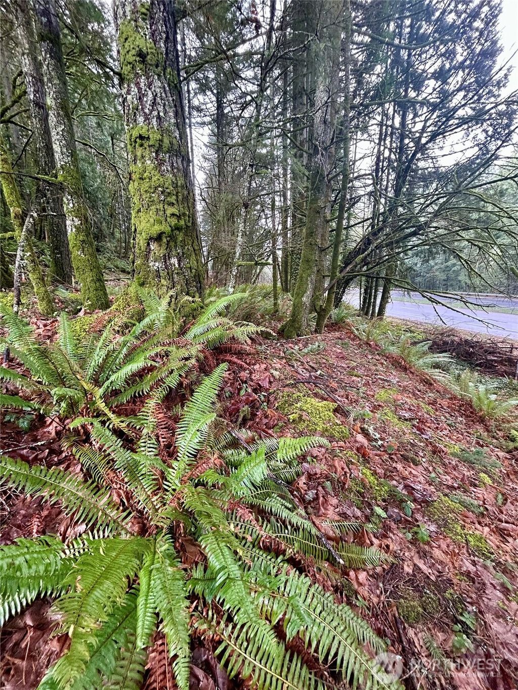 Photo of 5820 Old Highway 410 SW, Olympia, WA 98512 (MLS # 2462851)