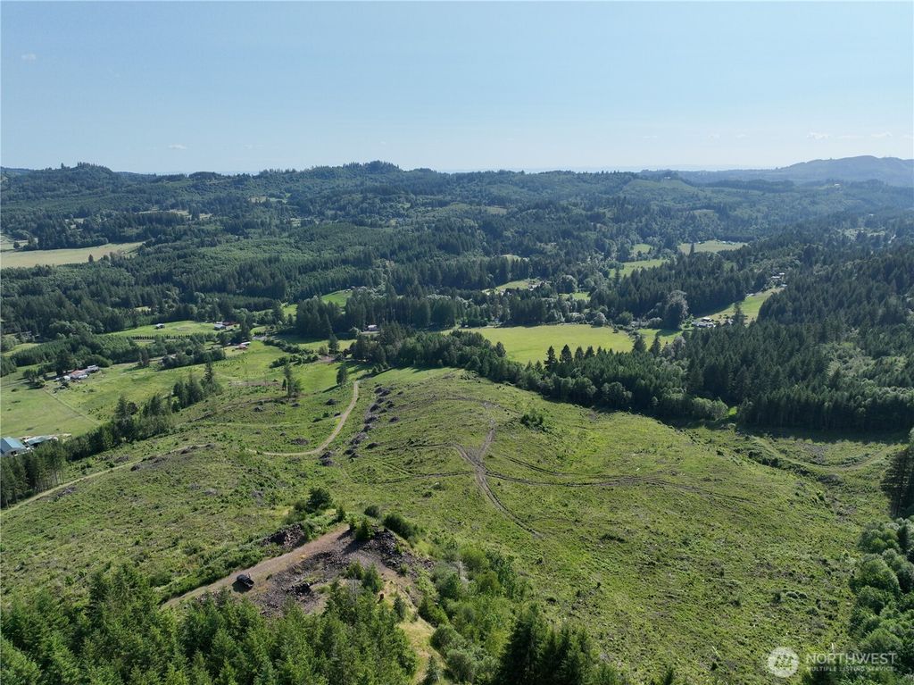 Photo of 0 NE 206th Avenue, Amboy, WA 98601 (MLS # 2495527)
