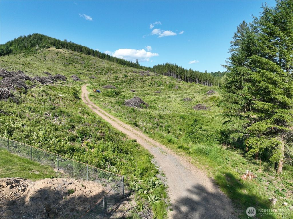 Photo of 0 NE 206th Avenue, Amboy, WA 98601 (MLS # 2495527)