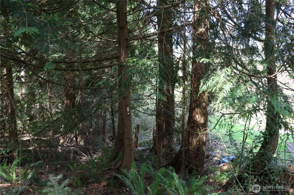 Photo of 260 XX SE 18th Place, Sammamish, WA 98075 (MLS # 2363865)