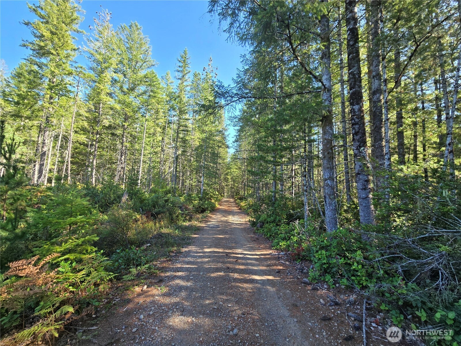 0 NE Dewatto Hills Road