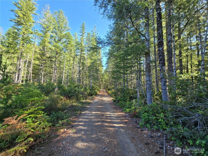 0 NE Dewatto Hills Road