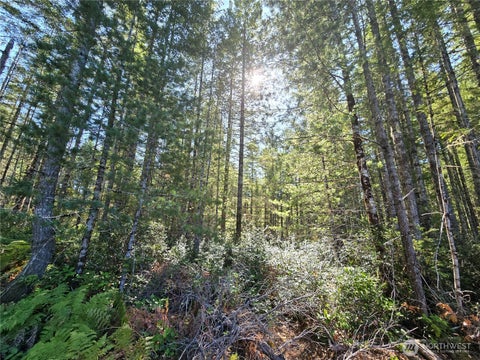 Photo of 0 XXX 5 AC NE Dewatto Hills Road, Tahuya, WA 98588 (MLS # 2585057)