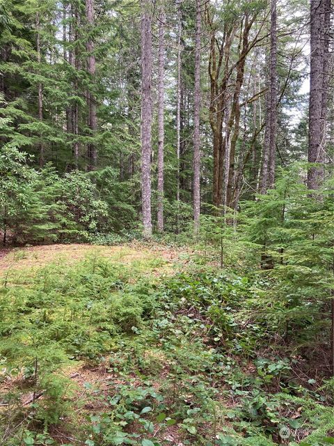1350 N Hilltop Loop Road Hoodsport WA 98548