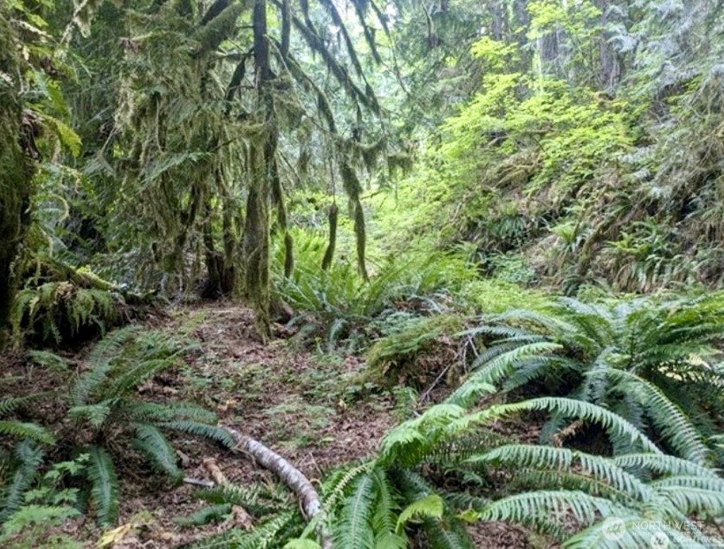 64315 Lookout Mountain Loop 170