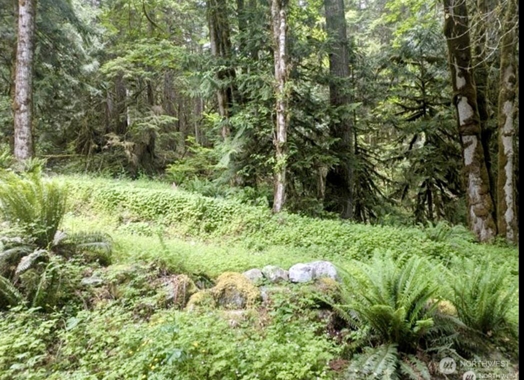 64315 Lookout Mountain Loop 170