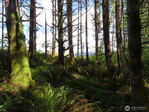 Photo of 0 XXX Hockett Road, Onalaska, WA 98570 (MLS # 2526362)