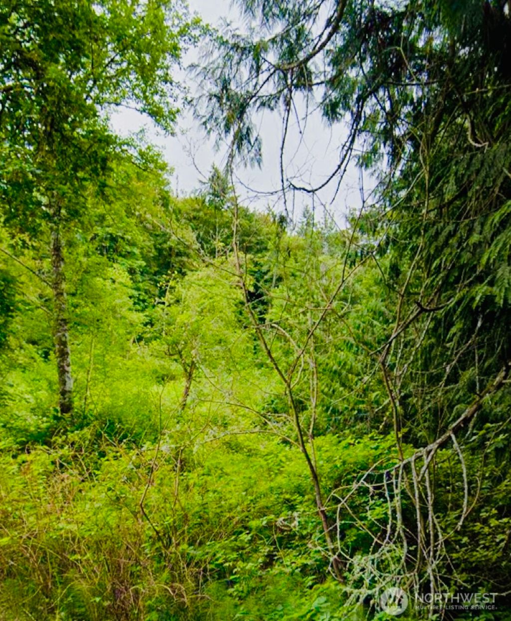 Photo of 8 XX 201st Avenue SE, Sammamish, WA 98075 (MLS # 2375191)