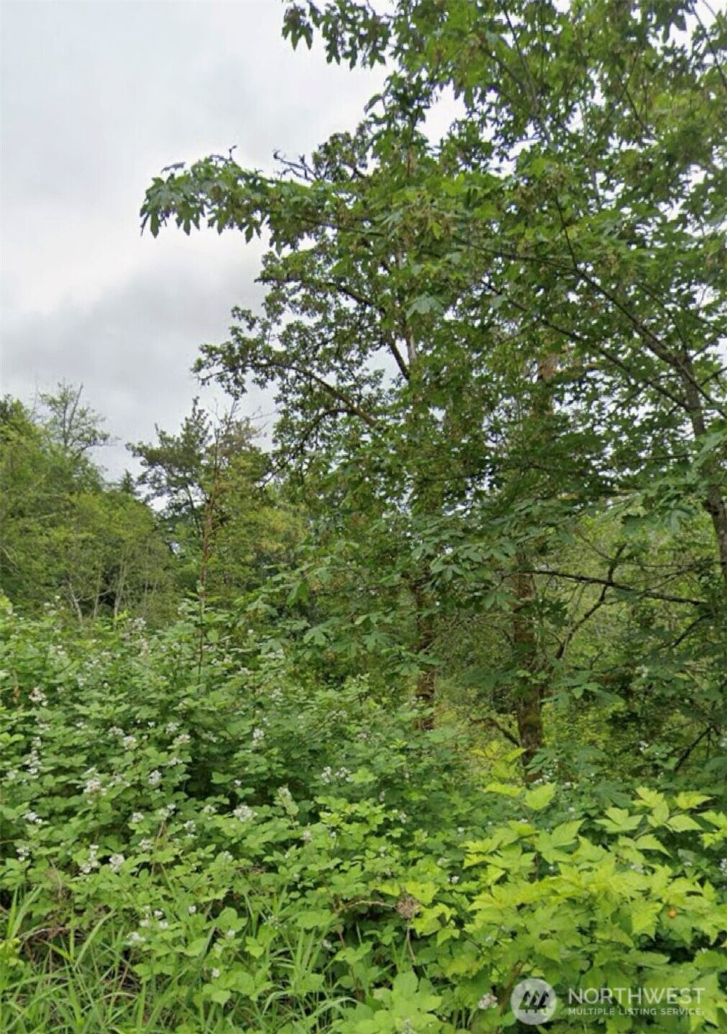 Photo of 8 XX 201st Avenue SE, Sammamish, WA 98075 (MLS # 2375191)