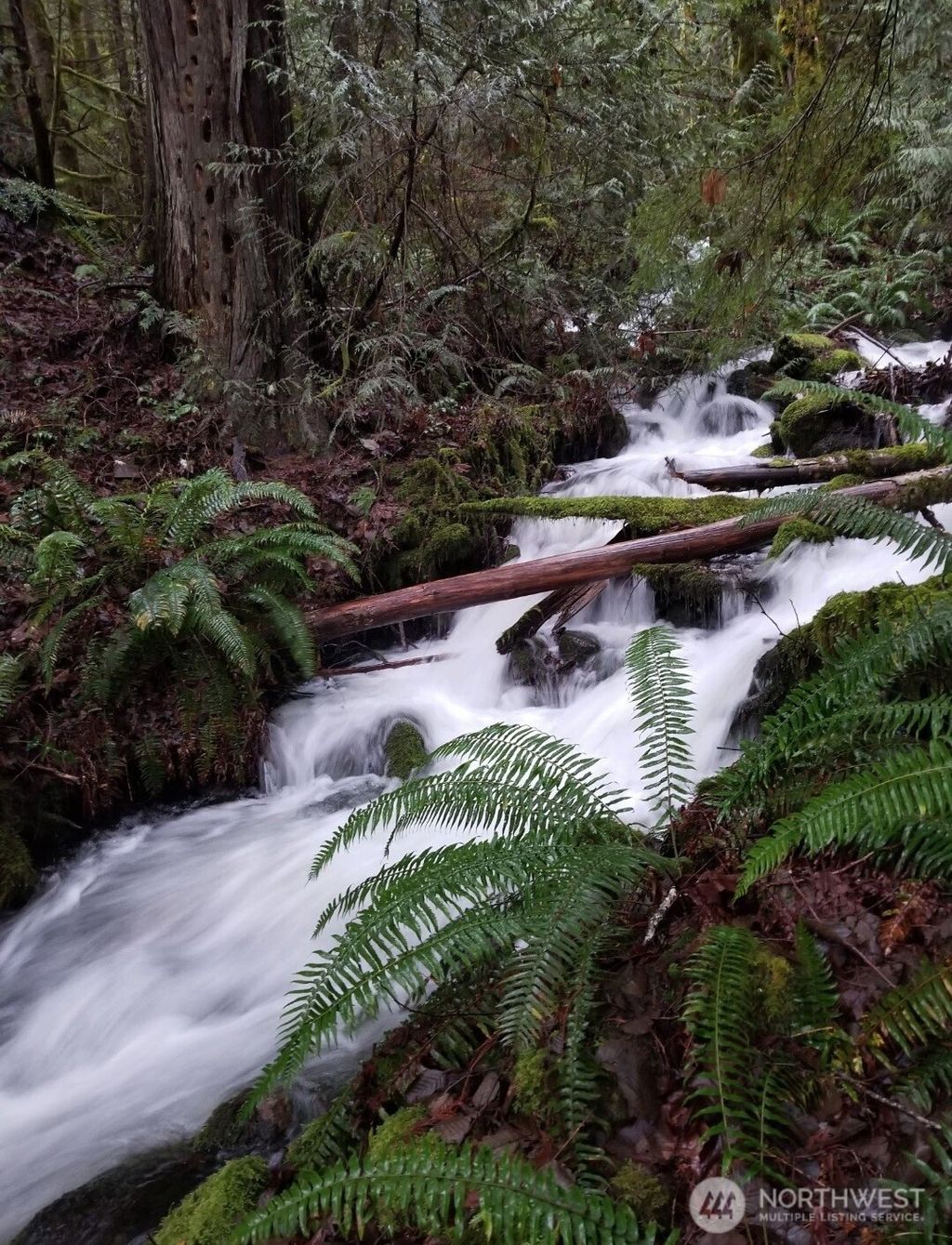 Photo of 0 Dragonfly Lane, Brinnon, WA 98320 (MLS # 2465363)