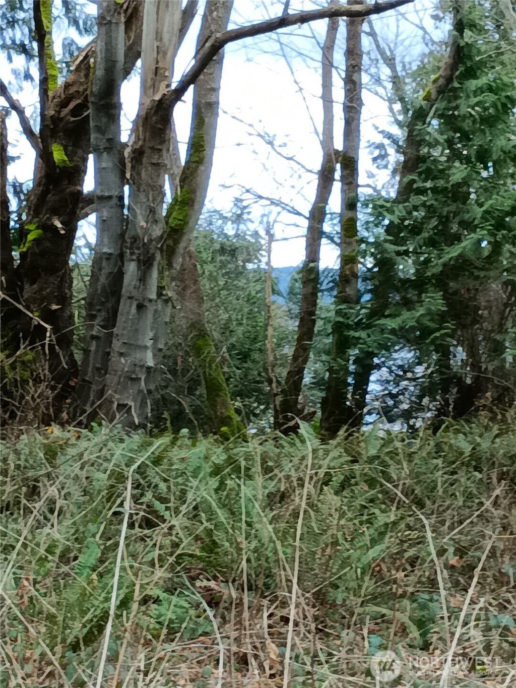 Photo of 111 M Crest Place, Hat Island, WA 98206 (MLS # 2513448)