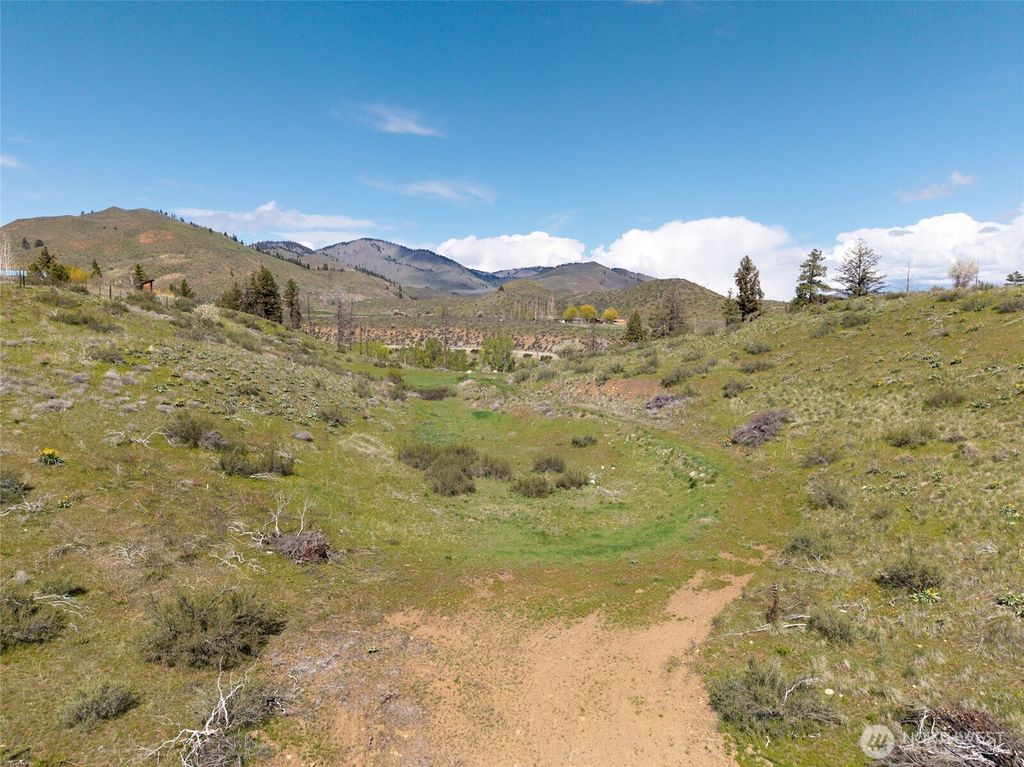 Photo of 16 Dancing Bear Road, Carlton, WA 98814 (MLS # 2510153)