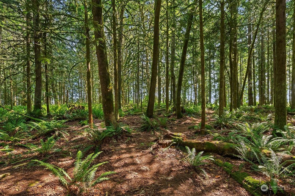 Photo of 3715 289th Avenue NE, Redmond, WA 98053 (MLS # 2273216)