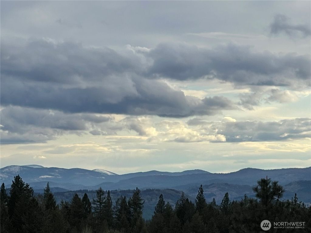Photo of 50 DOLL Drive, Republic, WA 99166 (MLS # 2442959)