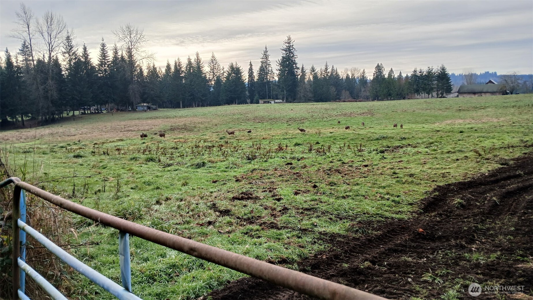 19000 127th Avenue NE