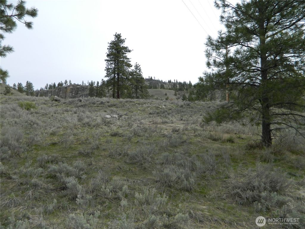 Photo of 0 TBD Six Gun Way, Tonasket, WA 98855 (MLS # 2492755)