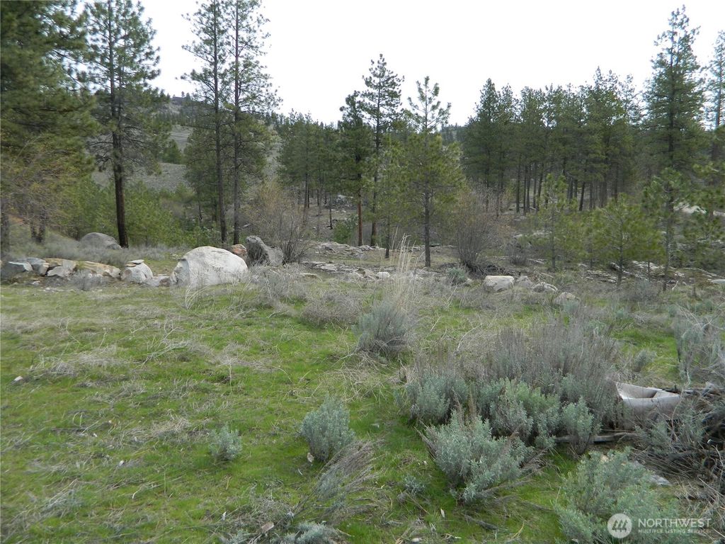 Photo of 0 TBD Six Gun Way, Tonasket, WA 98855 (MLS # 2492755)