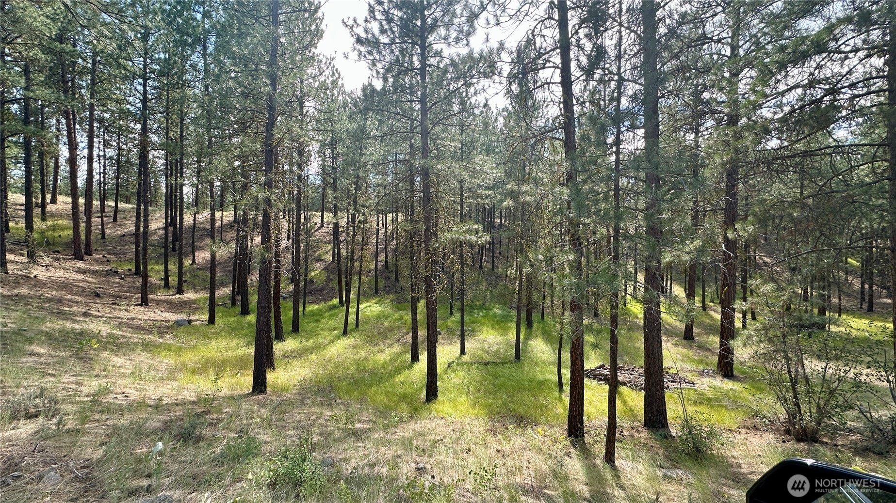 98 Larkspur Drive