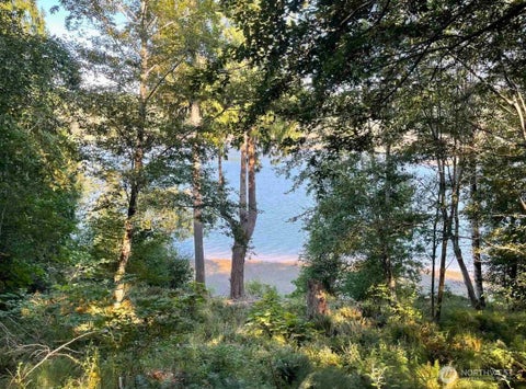 Photo of 108 E Beaver Lane, Shelton, WA 98584 (MLS # 2576451)