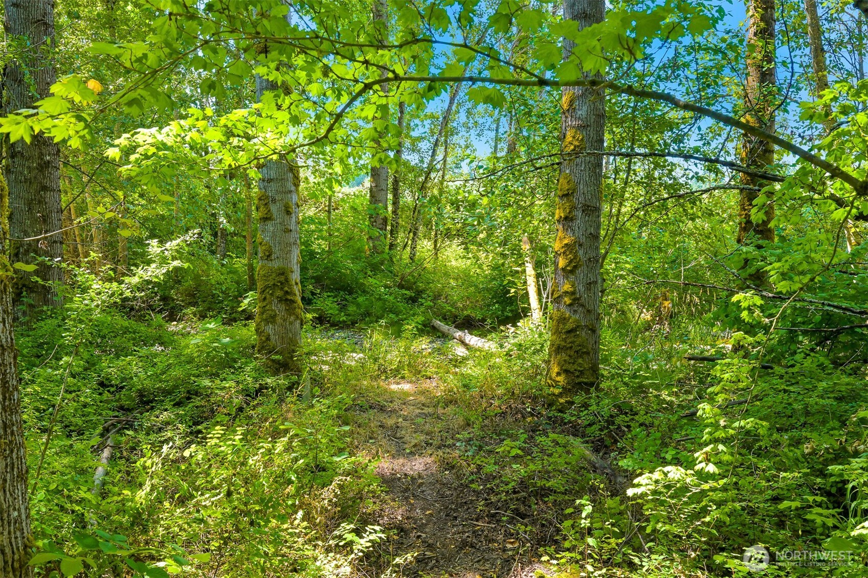 Bellingham, Washington 98226, United States, ,Land,Active,182491