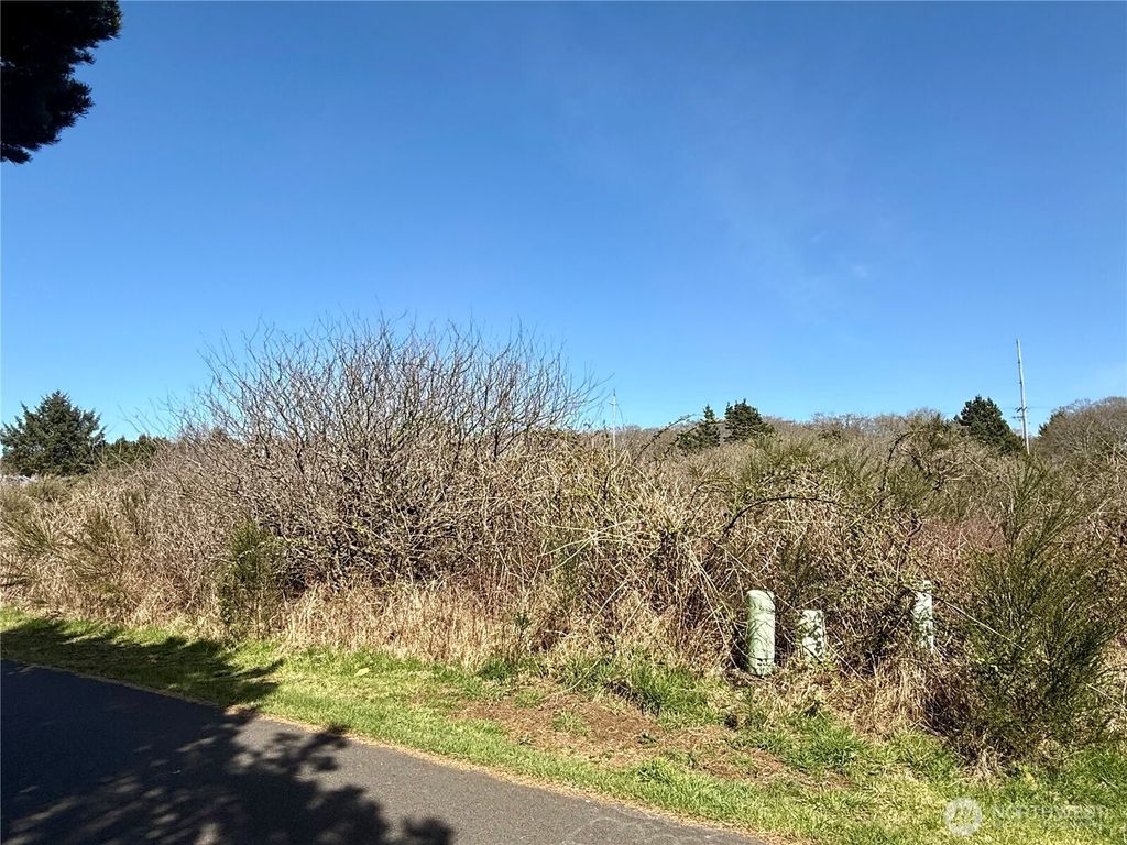 Photo of 2 XXX Francis Seamore Lane, Grayland, WA 98547 (MLS # 2503786)