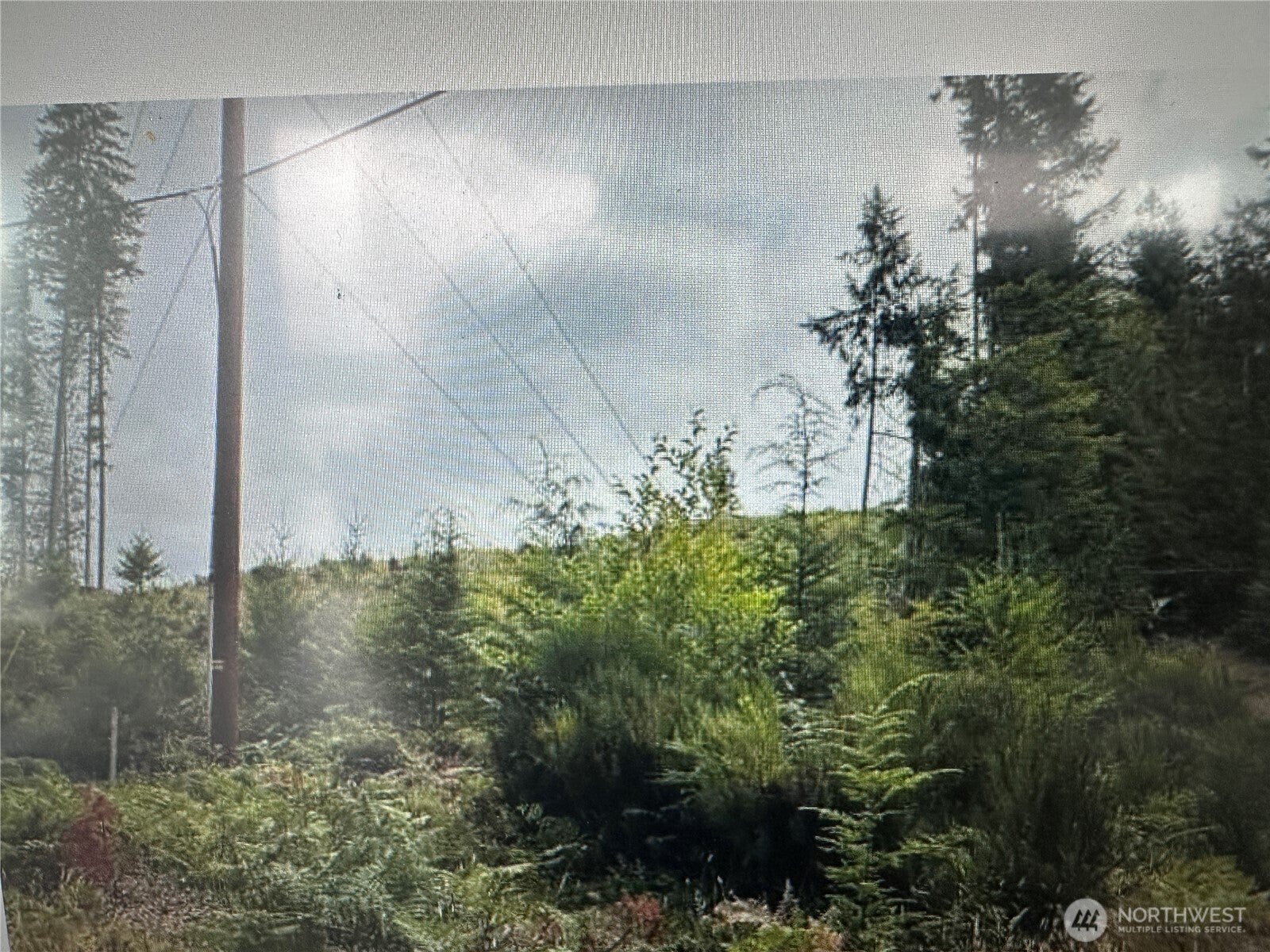 0 NE Dewatto Holly Road