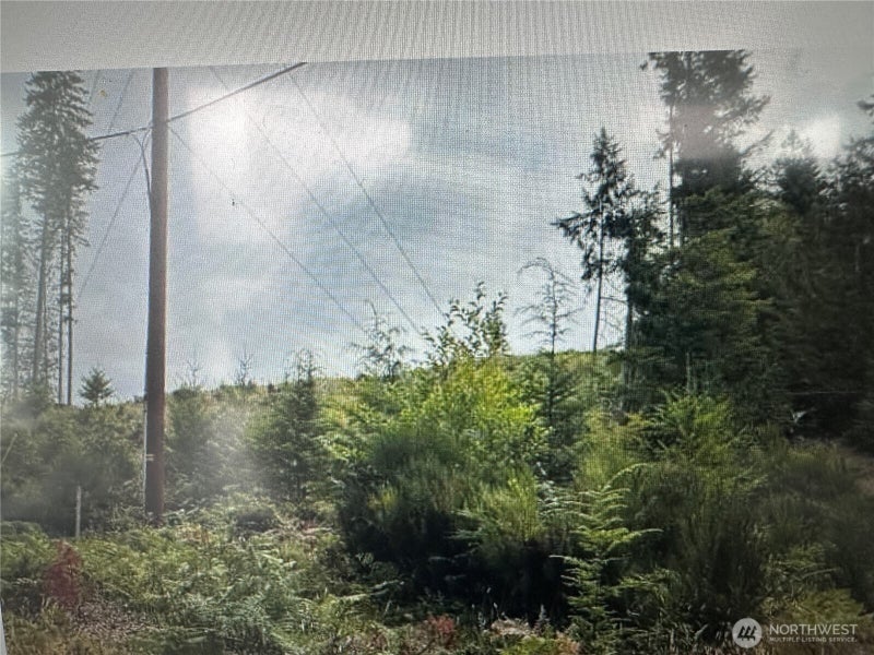 0 NE Dewatto Holly Road
