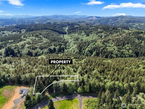 Photo of 1420 South Bend Rd, Raymond, WA 98577 (MLS # 2396451)